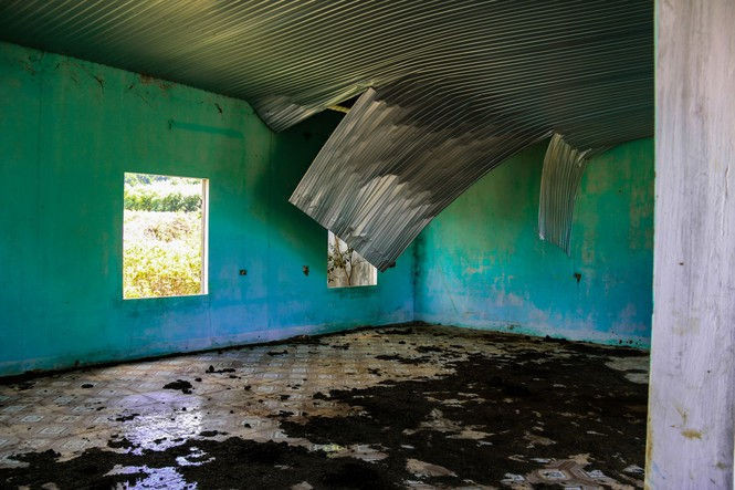 Cảnh hoang tàn tại trung tâm giống chăn nuôi gần 20 tỷ đồng - ảnh 5