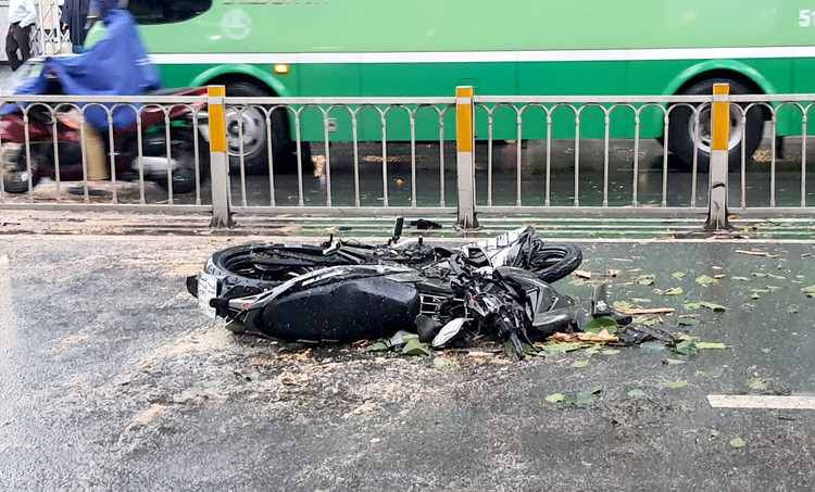 Cây cổ thụ cao hàng chục mét đổ đè người đàn ông trên phố Sài Gòn - 4