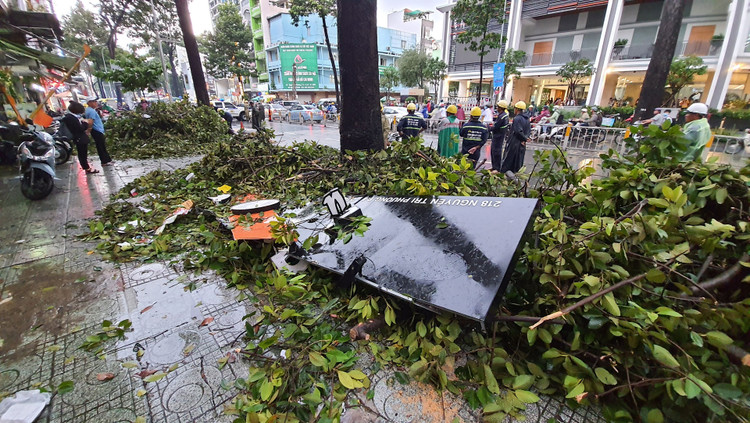 Cây cổ thụ cao hàng chục mét đổ đè người đàn ông trên phố Sài Gòn - 6