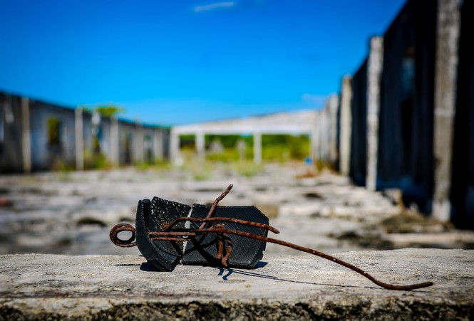 Cảnh hoang tàn tại trung tâm giống chăn nuôi gần 20 tỷ đồng - ảnh 12