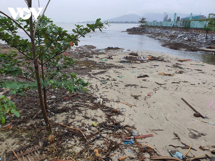 Cập nhật: Bão số 13 cuốn bay mái trường học, "nhổ" bật gốc cây, cuốn trôi nhà dân ảnh 58