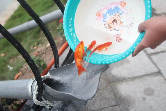 Hà Nội: Cá chép đi cầu trượt lên chầu Trời - 4