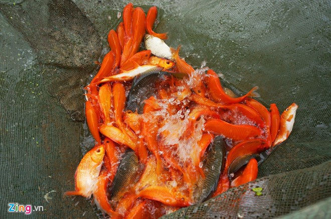 Nhung cach hieu sai ve tap tuc cung ong Cong ong Tao hinh anh 3 hinh_3.jpeg