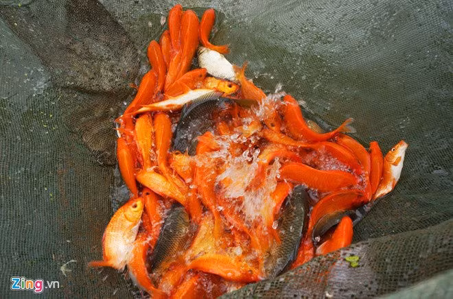 Nhung cach hieu sai ve tap tuc cung ong Cong ong Tao hinh anh 3 hinh_3.jpeg