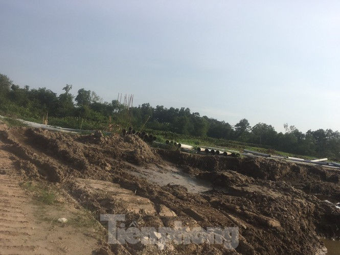 Bị Bộ Tư pháp 'tuýt còi', Vũng Tàu cho phép tách thửa trở lại - ảnh 1