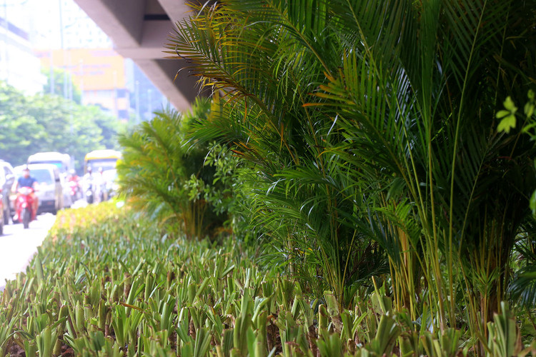 Đường Phạm Văn Đồng mở rộng thành 12 làn xe ảnh 6