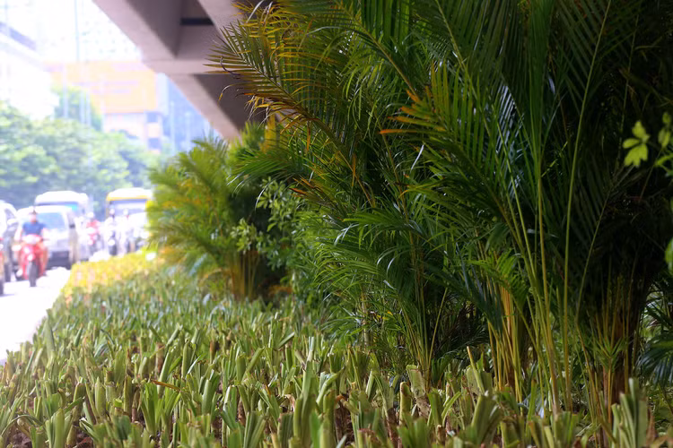 Đường Phạm Văn Đồng mở rộng thành 12 làn xe ảnh 6