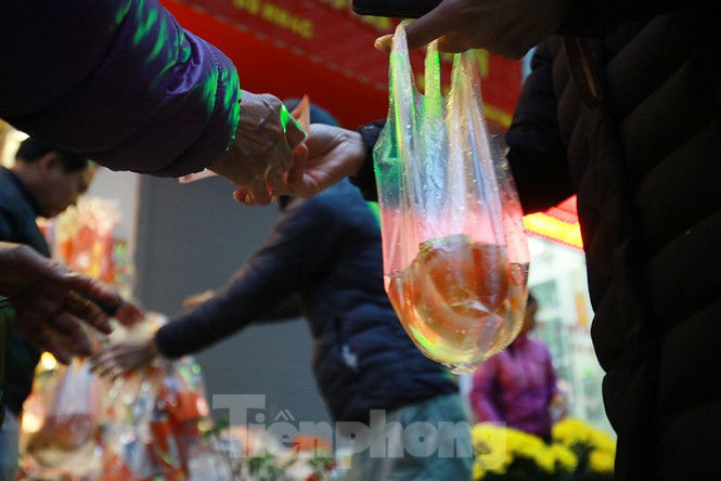 Dân chung cư rồng rắn mua đồ lễ cúng ông Công ông Táo - ảnh 7