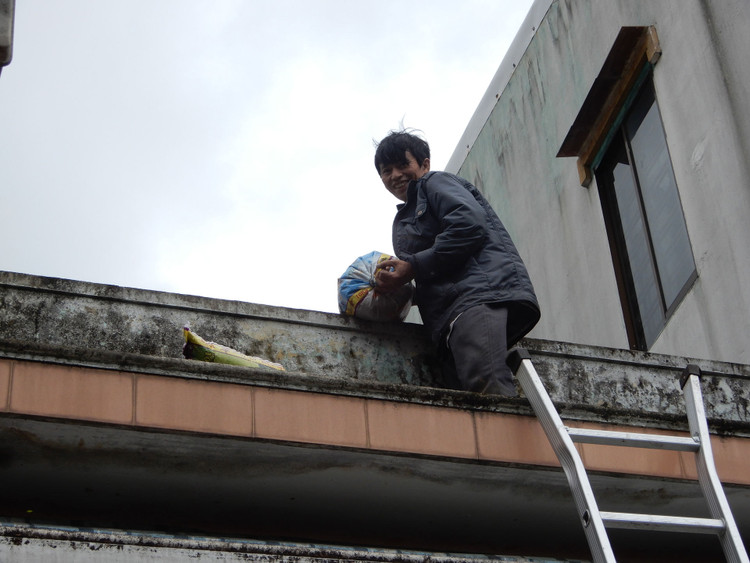 Vùng ven biển đã có gió to, người dân cấp tập chống bão - 10