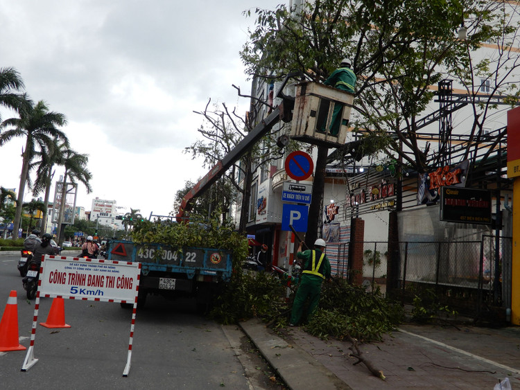 Vùng ven biển đã có gió to, người dân cấp tập chống bão - 13