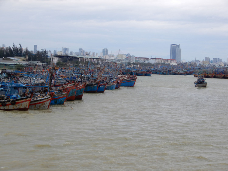 Vùng ven biển đã có gió to, người dân cấp tập chống bão - 16