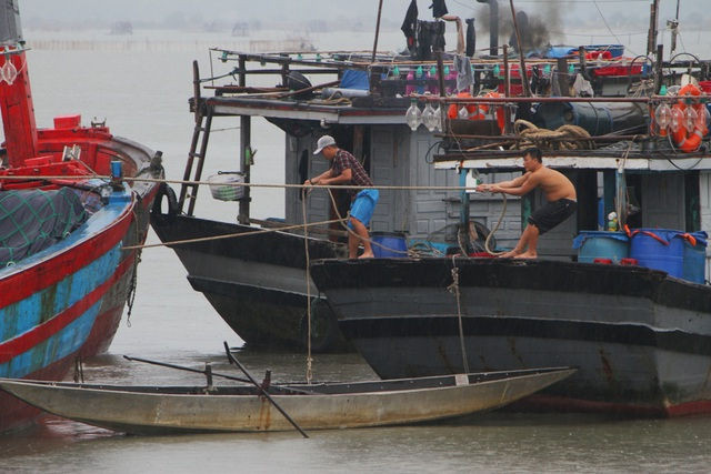 Vùng ven biển đã có gió to, người dân cấp tập chống bão - 9