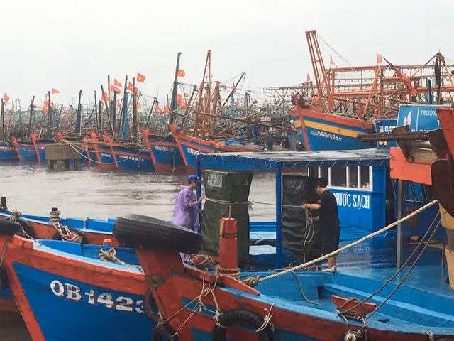 Quảng Bình: Di dời hơn 100 hộ dân để phòng chống bão số 13 - 1