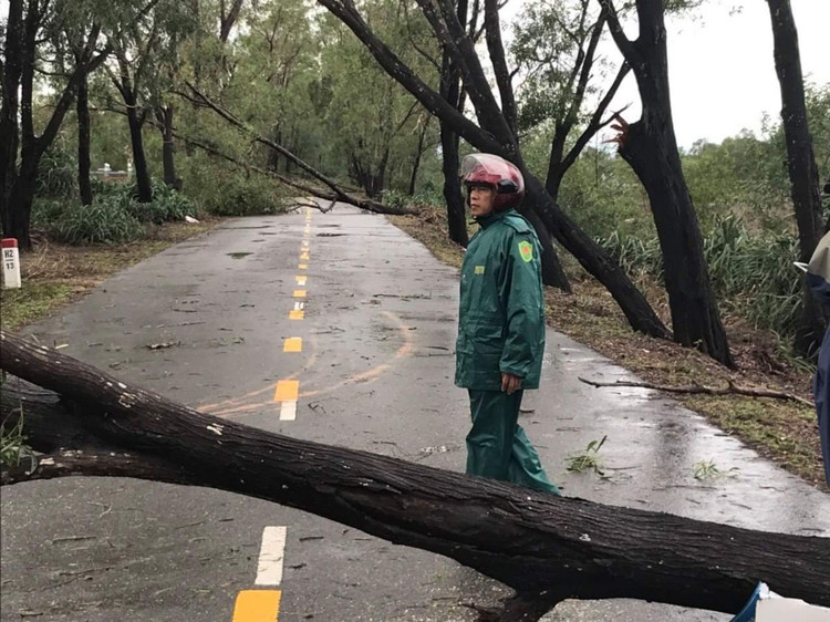 Cập nhật: Bão số 13 cuốn bay mái trường học, "nhổ" bật gốc cây, cuốn trôi nhà dân ảnh 2