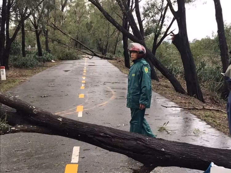 Cập nhật: Bão số 13 cuốn bay mái trường học, "nhổ" bật gốc cây, cuốn trôi nhà dân ảnh 2