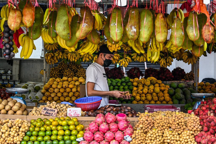 Xem Covid-19 như bệnh đặc hữu, Malaysia từng bước mở cửa kinh tế - ảnh 1