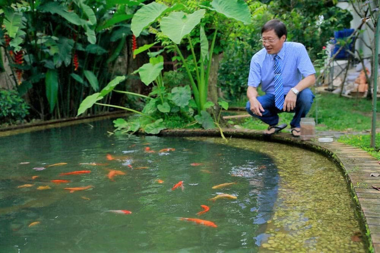 Luật sư Nguyễn Vân Nam cãi vụ 'Thần đồng Đất Việt', qua đời vì Covid-19 - ảnh 4