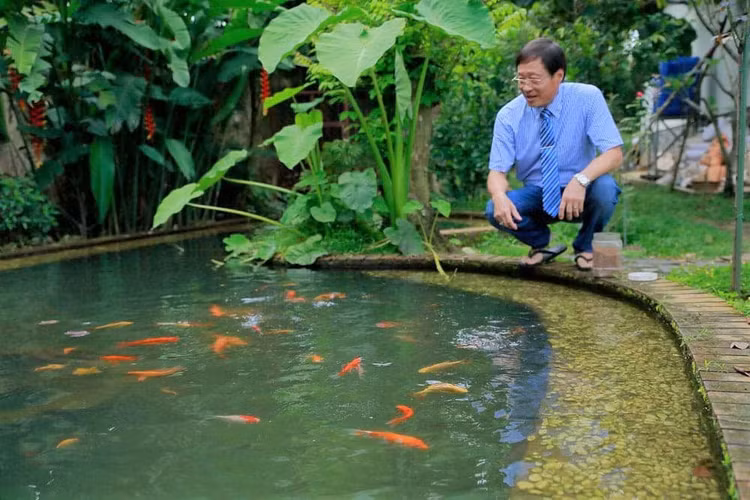 Luật sư Nguyễn Vân Nam cãi vụ 'Thần đồng Đất Việt', qua đời vì Covid-19 - ảnh 4