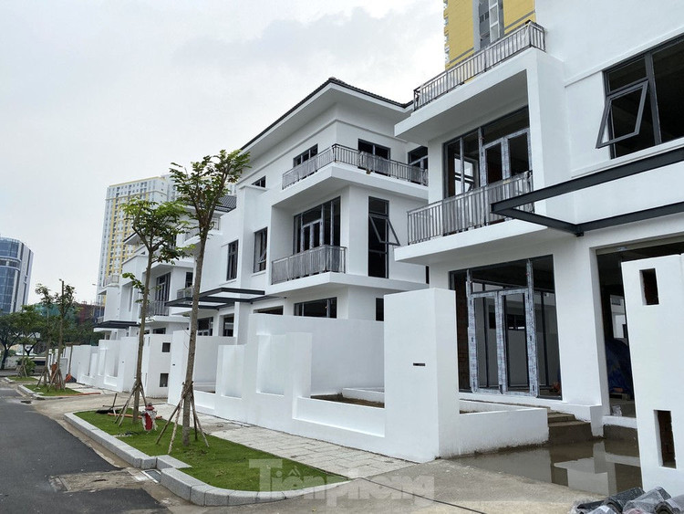 Bị phạt truy thu 44 tỷ đồng, Công ty Năm Bảy Bảy làm ăn ra sao? - ảnh 1