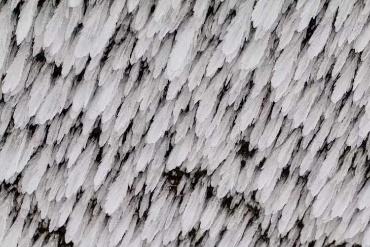 bang tuyet tren dinh Mau Son anh 10