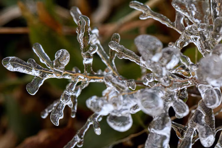 bang tuyet tren dinh Mau Son anh 19