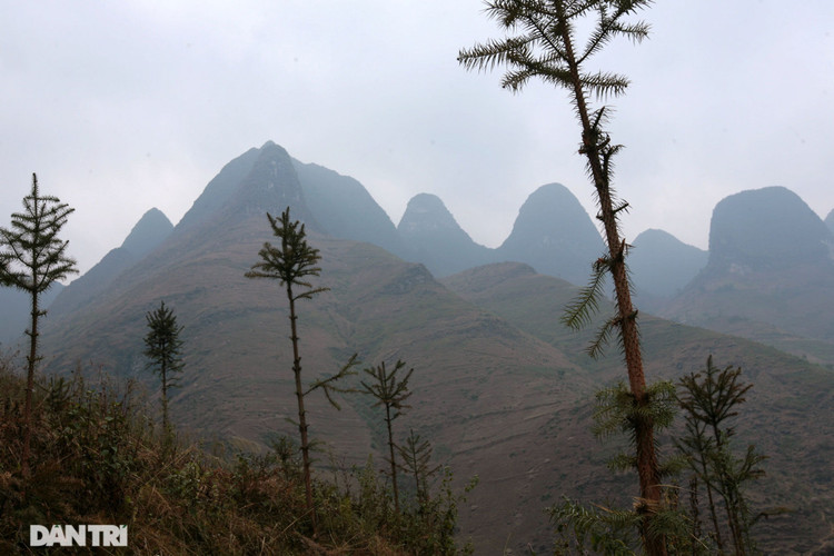 Hoang sơ đỉnh Mã Pì Lèng của hơn một thập kỷ trước - 19