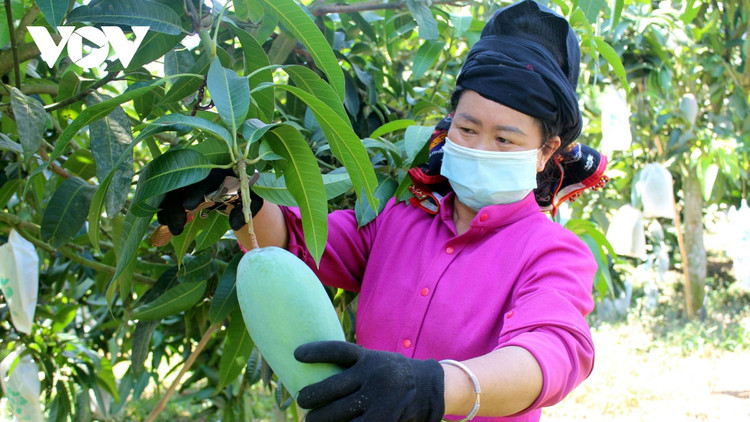 Nông sản lên “sàn” - tín hiệu mới trong chuyển đổi số nông nghiệp ảnh 1