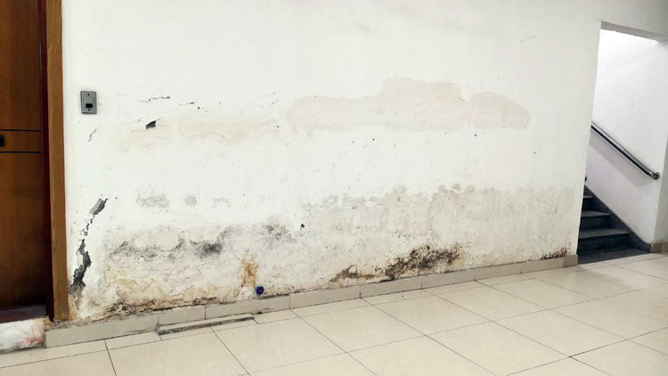 Tường nhiều căn hộ tại tòa TD Plaza Hải Phòng bong tróc, xuống cấp. Mua chung cư cao cấp TD Plaza sau 10 năm vẫn chưa có sổ hồng ảnh 2