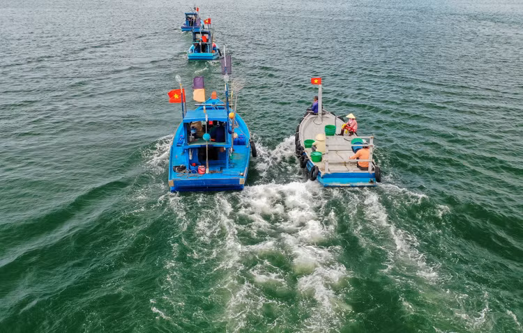 mo cua du lich phu quoc anh 4