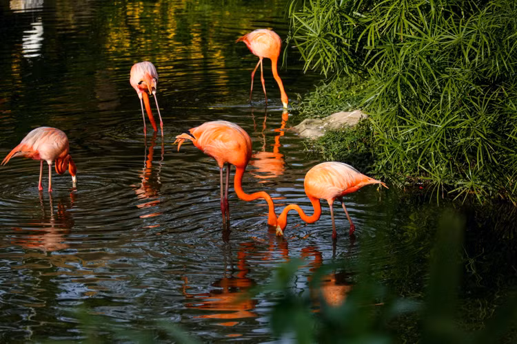 mo cua du lich phu quoc anh 6