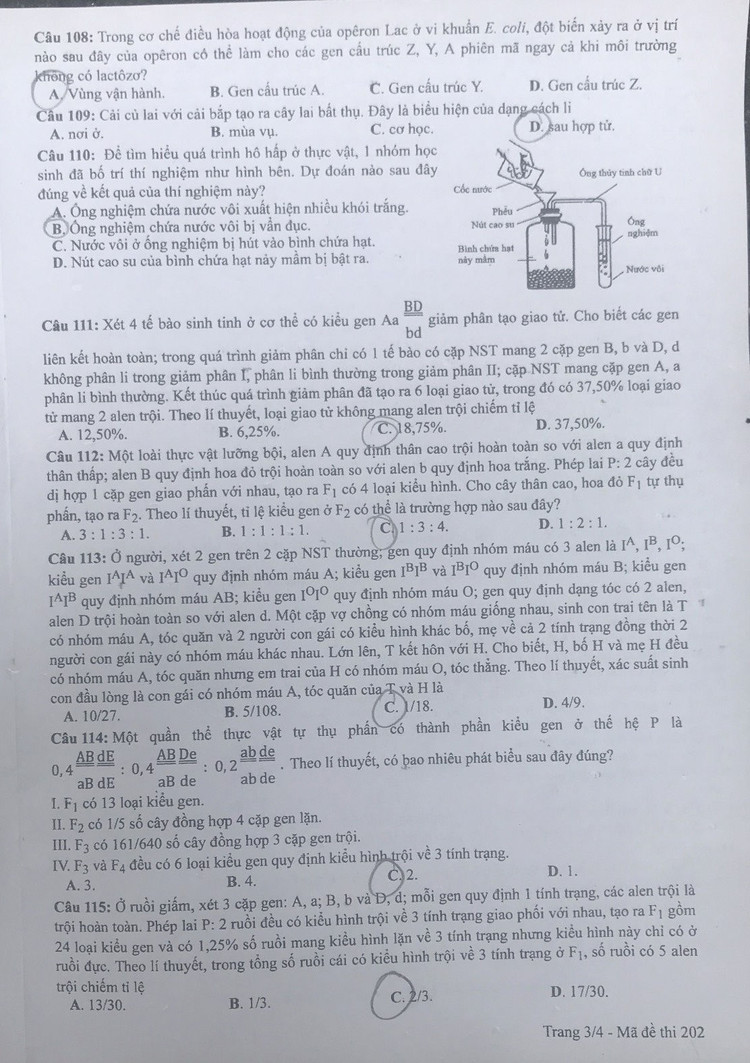 De thi va dap an mon Sinh hoc 2021 anh 3