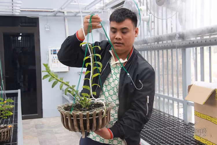 Công an báo cáo vụ lan đột biến 250 tỷ lên Bí thư thị xã Đông Triều ảnh 1 Công an báo cáo vụ lan đột biến 250 tỷ lên Bí thư thị xã Đông Triều