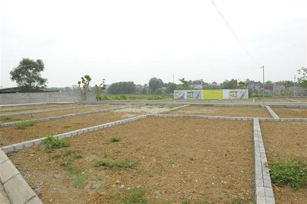 Thanh Hoa: Quy che moi ve dau gia giup ngan ngua 'co dat' hinh anh 1