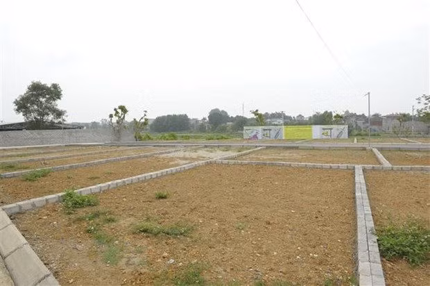 Thanh Hoa: Quy che moi ve dau gia giup ngan ngua 'co dat' hinh anh 1