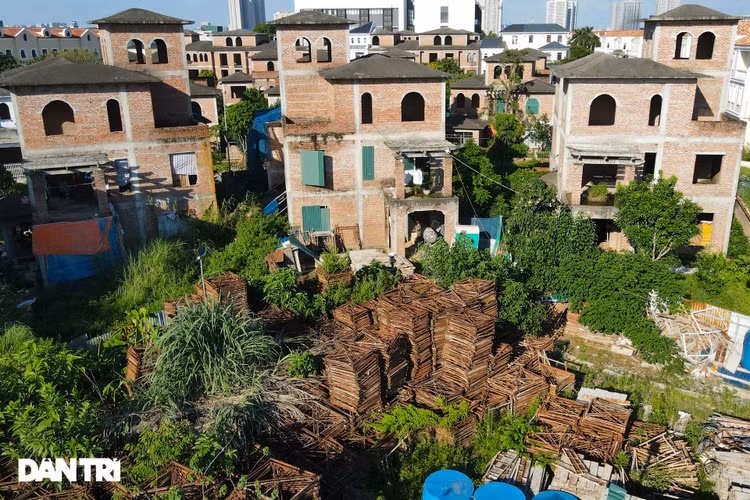 Cận cảnh hàng loạt khu biệt thự bỏ hoang nhiều năm ở ngoại thành Hà Nội - 17