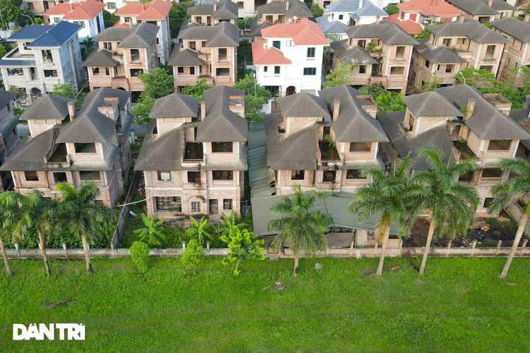 Cận cảnh hàng loạt khu biệt thự bỏ hoang nhiều năm ở ngoại thành Hà Nội - 5