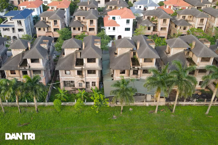 Cận cảnh hàng loạt khu biệt thự bỏ hoang nhiều năm ở ngoại thành Hà Nội - 5