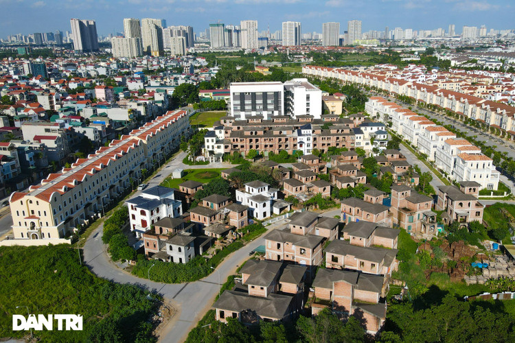 Cận cảnh hàng loạt khu biệt thự bỏ hoang nhiều năm ở ngoại thành Hà Nội - 10