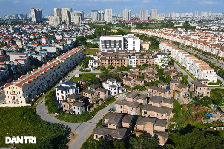 Cận cảnh hàng loạt khu biệt thự bỏ hoang nhiều năm ở ngoại thành Hà Nội - 10