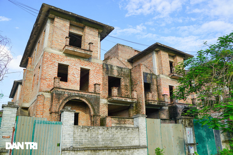 Cận cảnh hàng loạt khu biệt thự bỏ hoang nhiều năm ở ngoại thành Hà Nội - 4