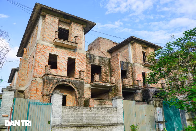 Cận cảnh hàng loạt khu biệt thự bỏ hoang nhiều năm ở ngoại thành Hà Nội - 4