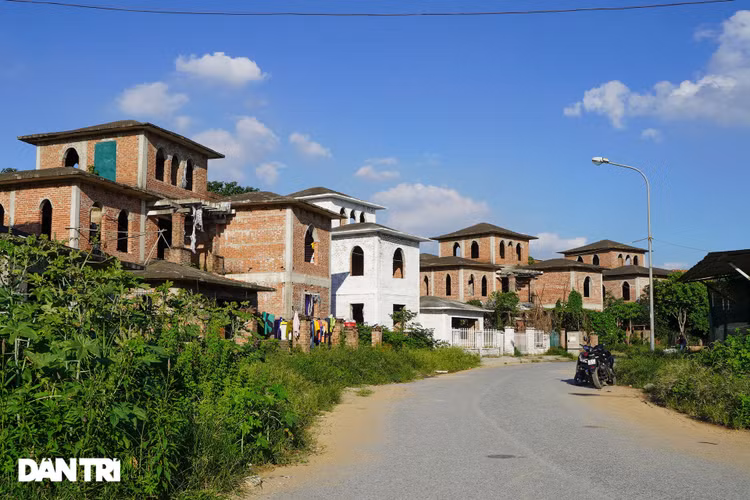 Cận cảnh hàng loạt khu biệt thự bỏ hoang nhiều năm ở ngoại thành Hà Nội - 12