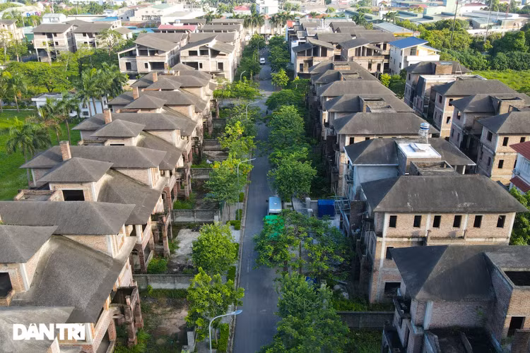 Cận cảnh hàng loạt khu biệt thự bỏ hoang nhiều năm ở ngoại thành Hà Nội - 2