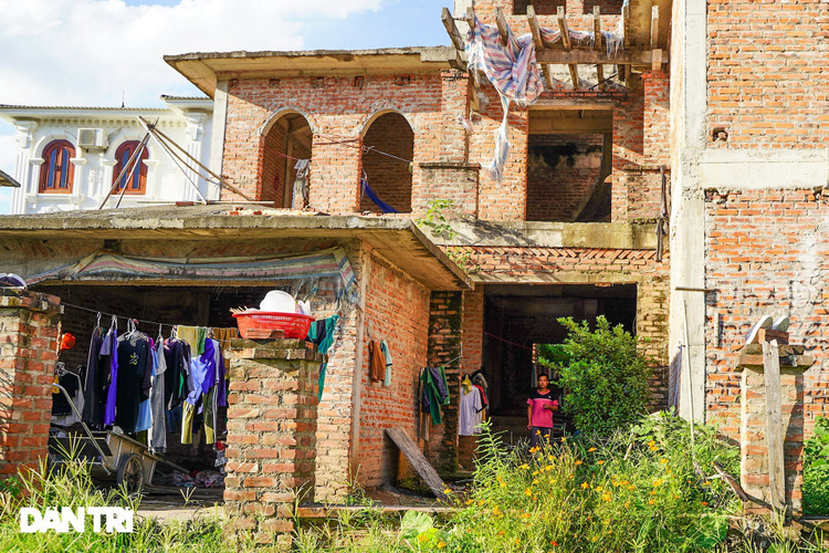 Cận cảnh hàng loạt khu biệt thự bỏ hoang nhiều năm ở ngoại thành Hà Nội - 14