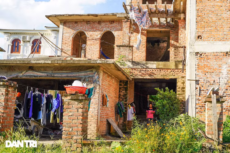 Cận cảnh hàng loạt khu biệt thự bỏ hoang nhiều năm ở ngoại thành Hà Nội - 14