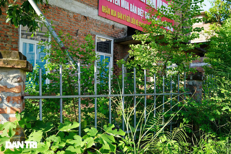 Cận cảnh hàng loạt khu biệt thự bỏ hoang nhiều năm ở ngoại thành Hà Nội - 15