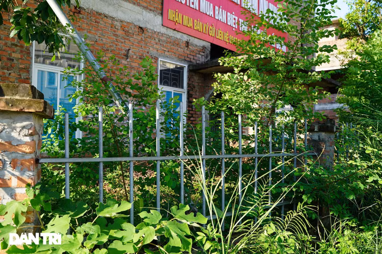 Cận cảnh hàng loạt khu biệt thự bỏ hoang nhiều năm ở ngoại thành Hà Nội - 15