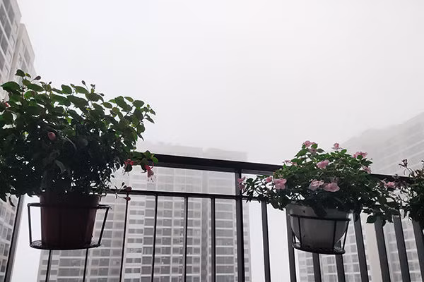 Dự báo thời tiết 9/3, Hà Nội sương mù giăng kín