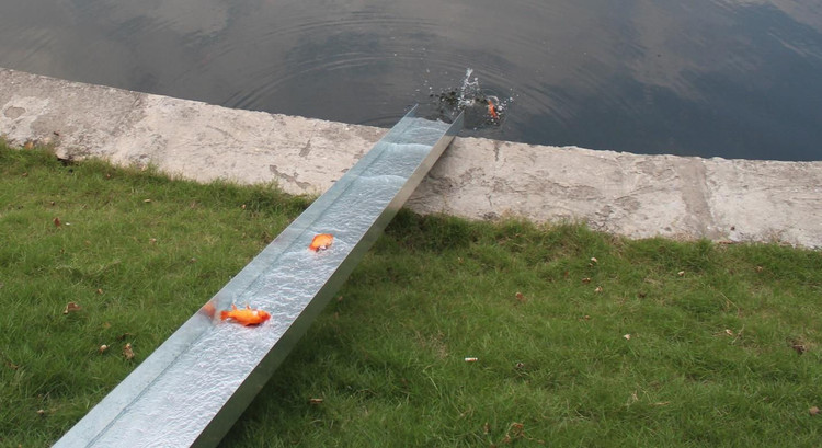 Người Hà Nội cho cá chép đi cầu trượt tiễn ông Công ông Táo về trời - 5