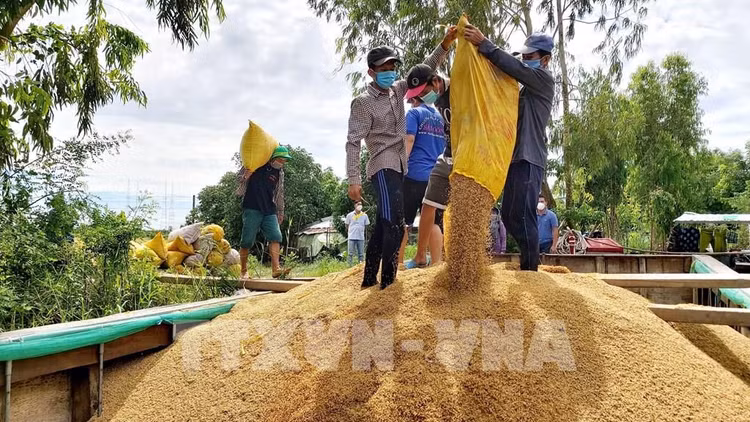 “Trụ đỡ” nông nghiệp - Vẫn cần thêm trợ lực ảnh 1